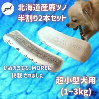 【送料無料】超小型犬用　半割り　2本セット　鹿の角　犬のおもちゃ(犬)