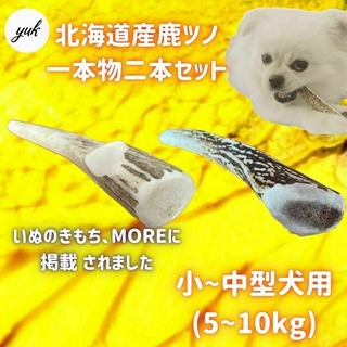 【24時間以内発送】小〜中型犬用　一本物　先端2本セット　鹿角　犬のおもちゃ(犬)