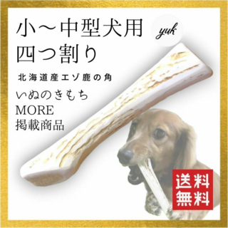 【匿名配送】小〜中型犬用　四つ割り　北海道産エゾ鹿の角　犬のおもちゃ(犬)