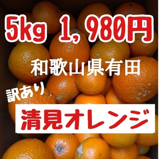 和歌山県有田 ジュ～シ〜清見オレンジ5kg(フルーツ)