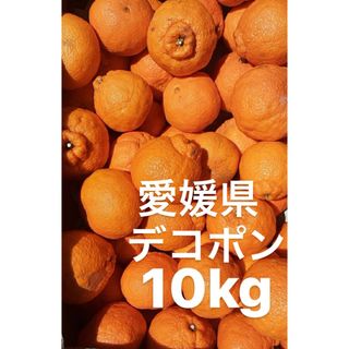 愛媛県　デコポン　柑橘　10kg(フルーツ)