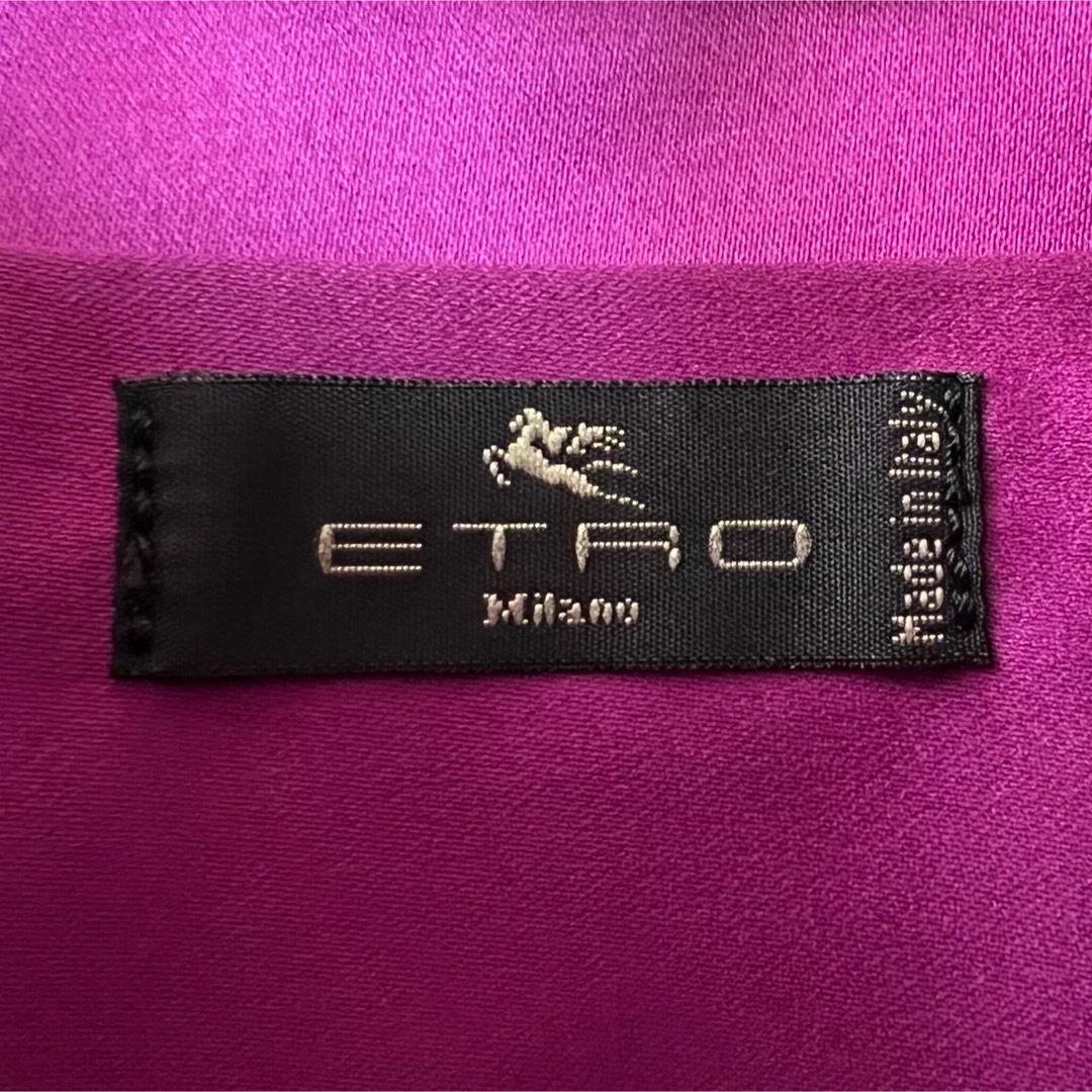 ETRO(エトロ)の定価98000円♡新品♡希少♡エトロ スパンコール ラクーンファー バッグ レディースのバッグ(ショルダーバッグ)の商品写真