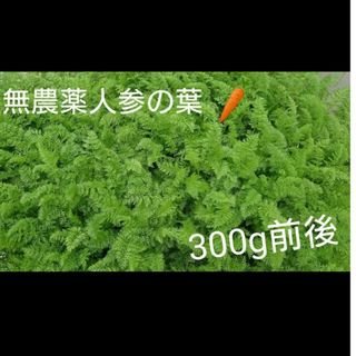 人参葉 無農薬　300g前後(野菜)