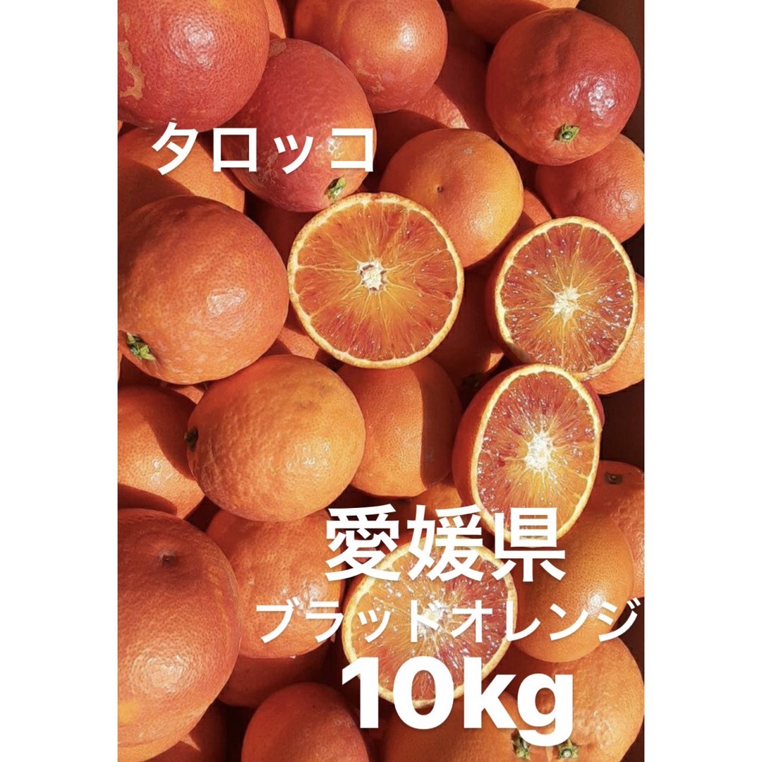 愛媛県産　ブラッドオレンジ　柑橘　10kg 食品/飲料/酒の食品(フルーツ)の商品写真