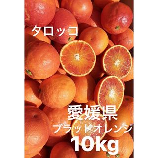 愛媛県産　ブラッドオレンジ　柑橘　10kg(フルーツ)