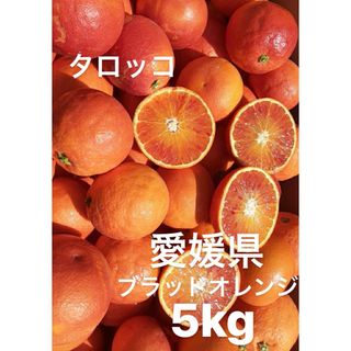 愛媛県産　ブラッドオレンジ　柑橘　5kg