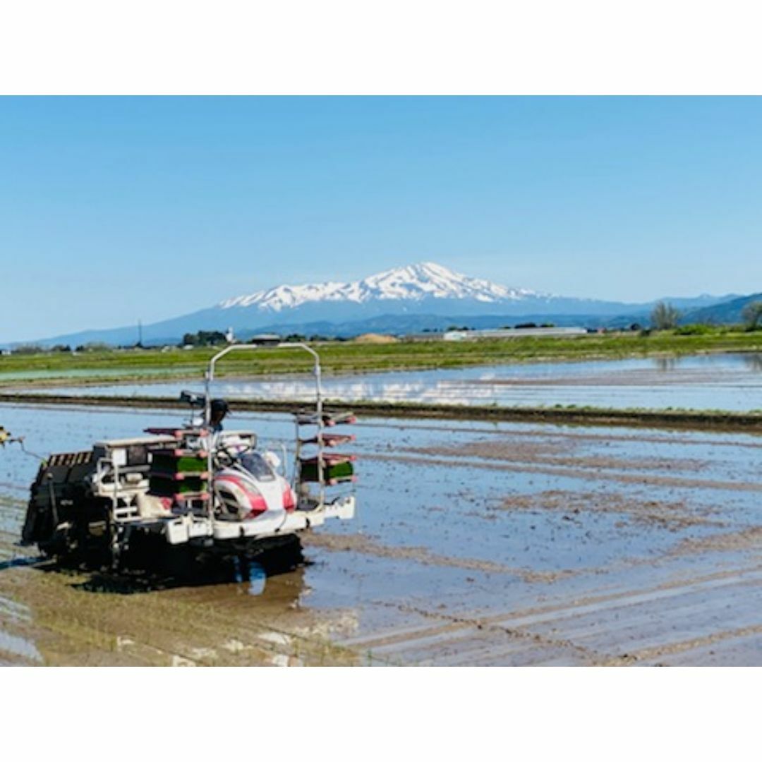 羽黒山の麓で育った美味しいお米！山形県産特別栽培米ひとめぼれ（白米）５ｋｇ 食品/飲料/酒の食品(米/穀物)の商品写真