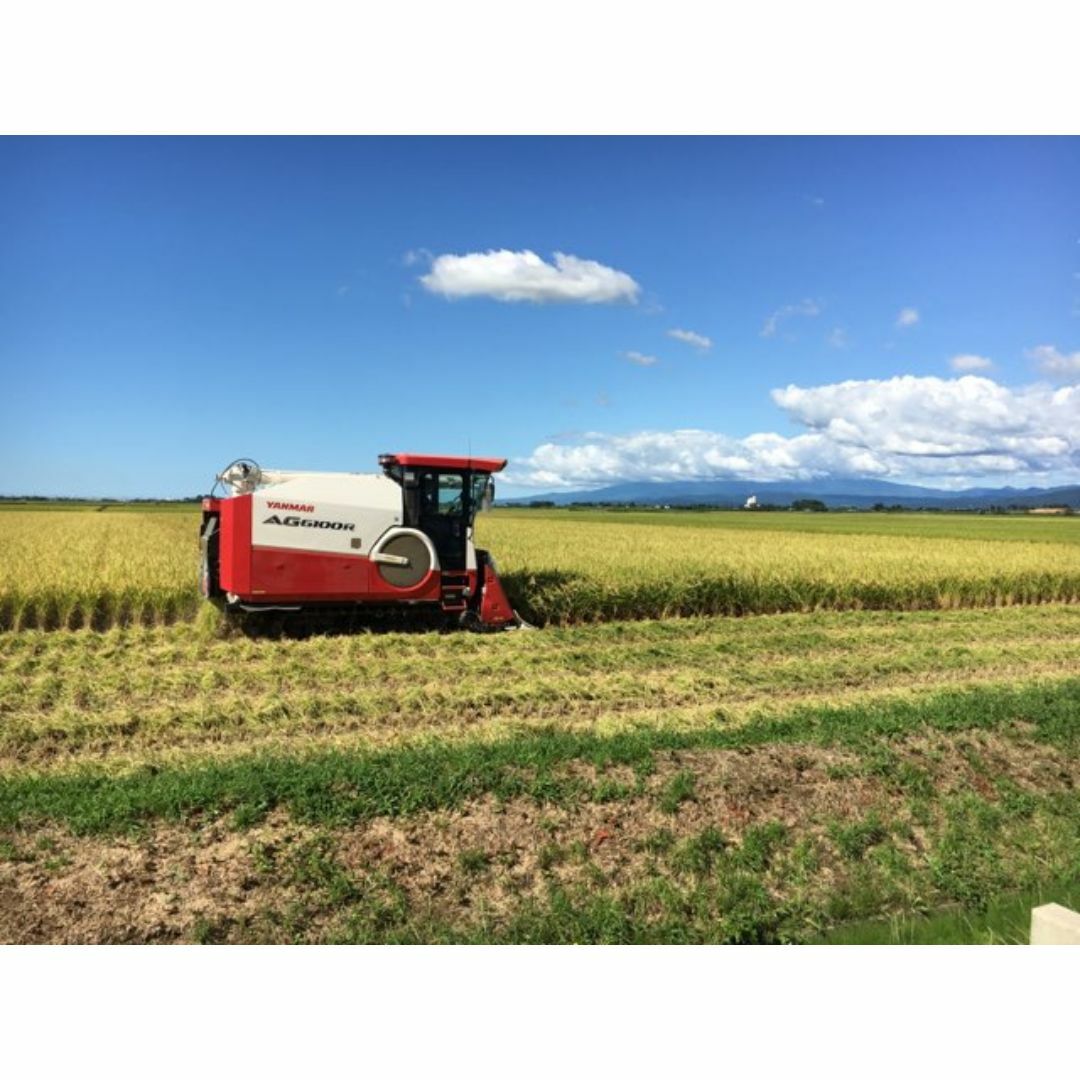 羽黒山の麓で育った美味しいお米！山形県産特別栽培米ひとめぼれ（白米）５ｋｇ 食品/飲料/酒の食品(米/穀物)の商品写真