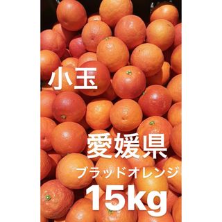 愛媛県産　ブラッドオレンジ　柑橘　15kg(フルーツ)