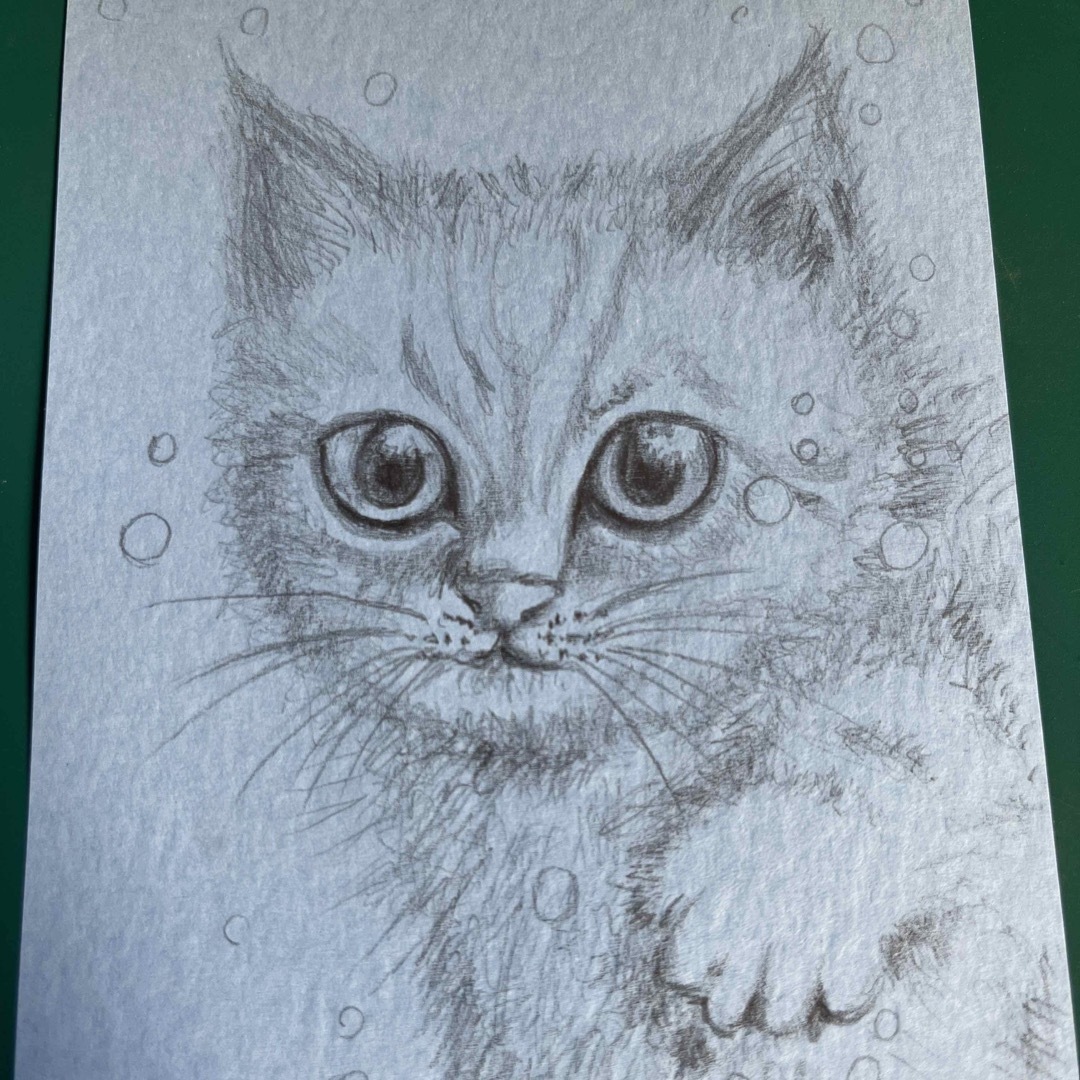 tukio直筆イラスト／鉛筆画／猫の絵 エンタメ/ホビーの美術品/アンティーク(絵画/タペストリー)の商品写真