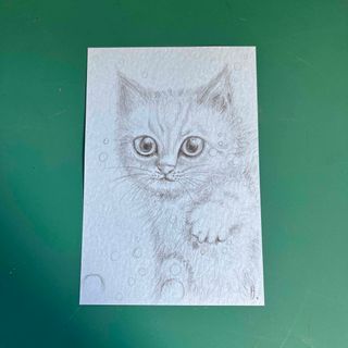 tukio直筆イラスト／鉛筆画／猫の絵(絵画/タペストリー)