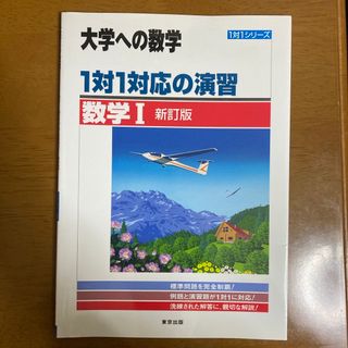 １対１対応の演習／数学１(語学/参考書)