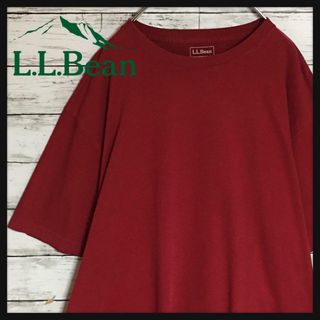 エルエルビーン(L.L.Bean)の【人気オーバーサイズXL】エルエルビーン　半袖無地Tシャツ　くすみ赤　E690(Tシャツ/カットソー(半袖/袖なし))