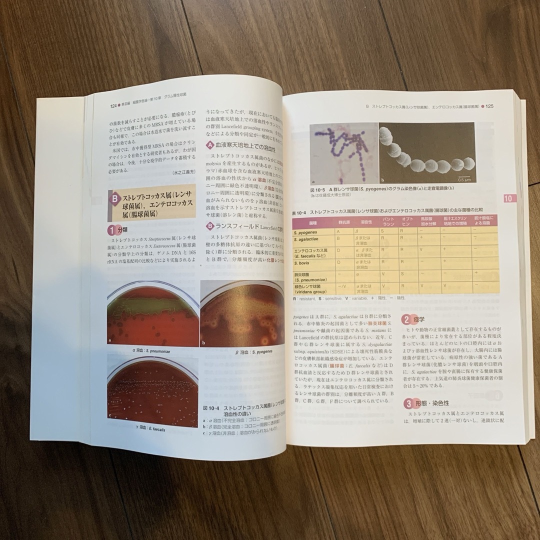 標準微生物学　第13版 エンタメ/ホビーの本(健康/医学)の商品写真