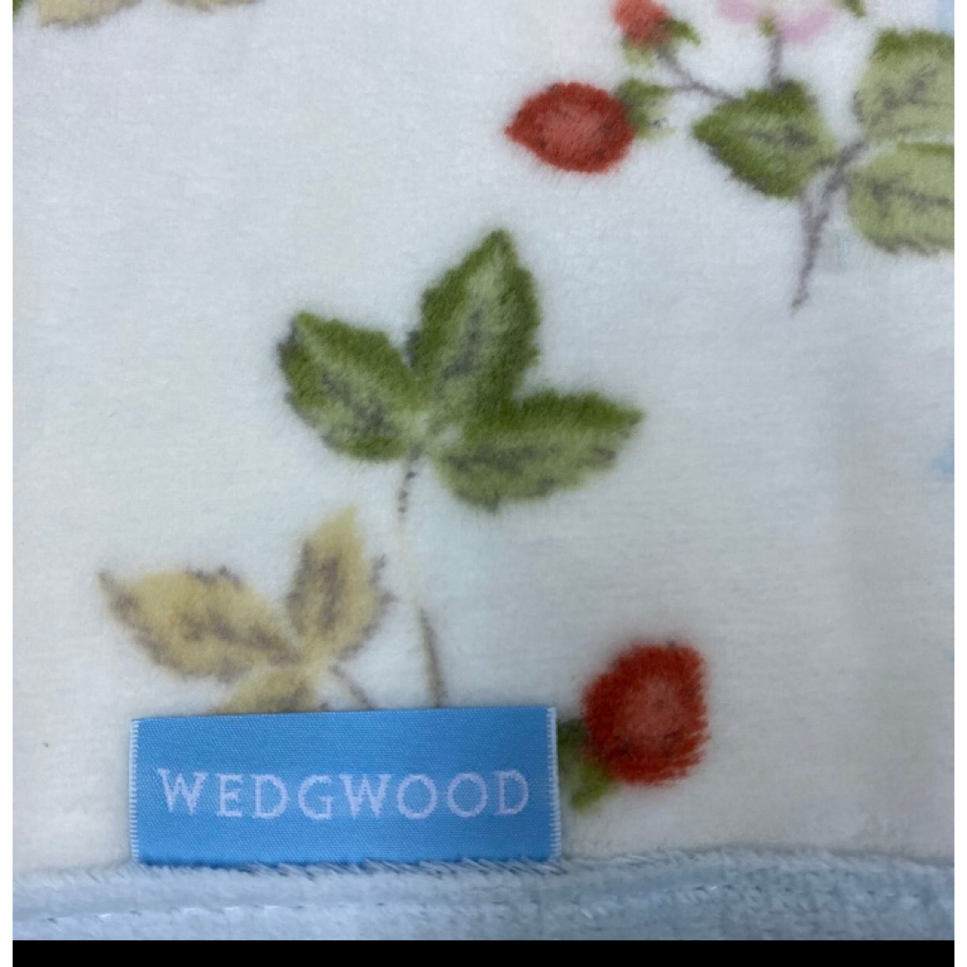 WEDGWOOD(ウェッジウッド)の西川　ウェッジウッド　綿毛布 インテリア/住まい/日用品の寝具(毛布)の商品写真