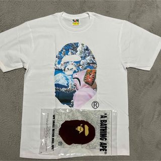 A BATHING APE - APE BAPE KAWS Sakura 桜　SHARK tシャツ　XL