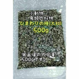 アメリカ産 ひまわりの種 500g 大粒 小動物 鳥類 ハムスターのおやつ(アクアリウム)