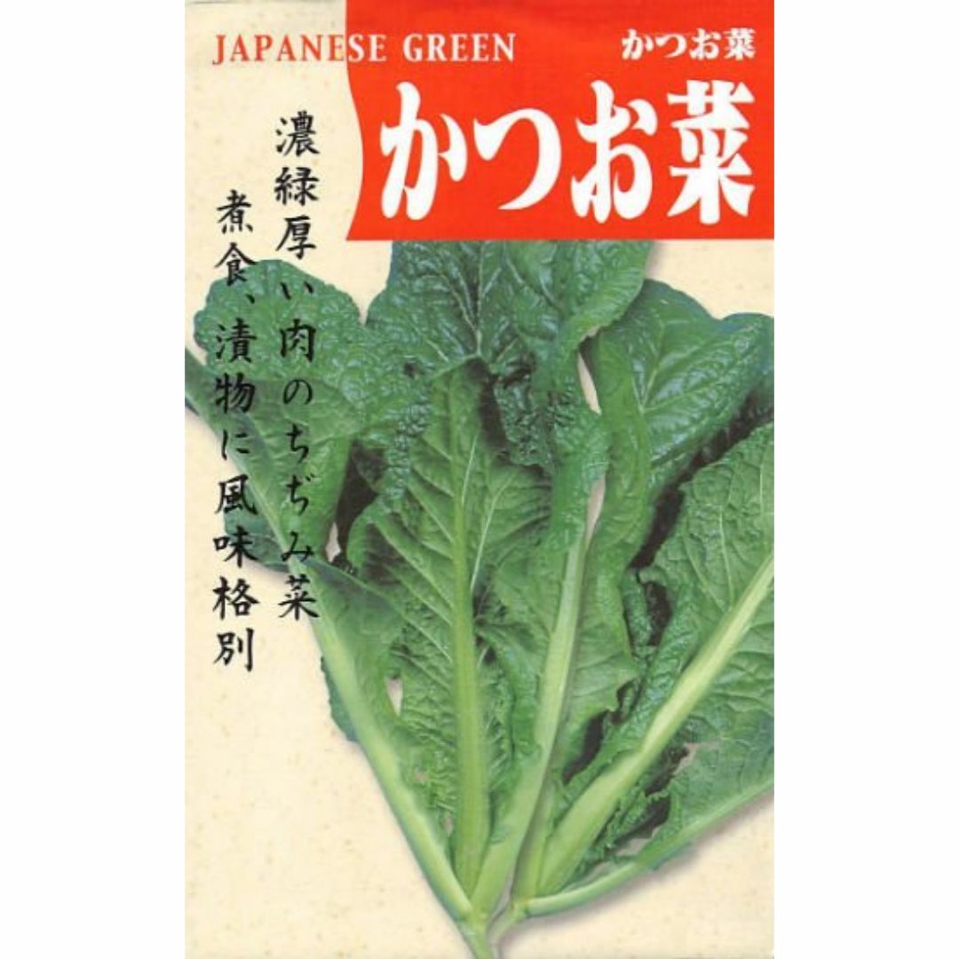 【種】かつお菜　カツオナ　無農薬　300粒 食品/飲料/酒の食品(野菜)の商品写真