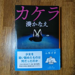 カケラ(文学/小説)