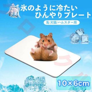 小動物 ひんやり 洗える ハムスター おもちゃ アルミクールマット 冷感 暑さ対(小動物)