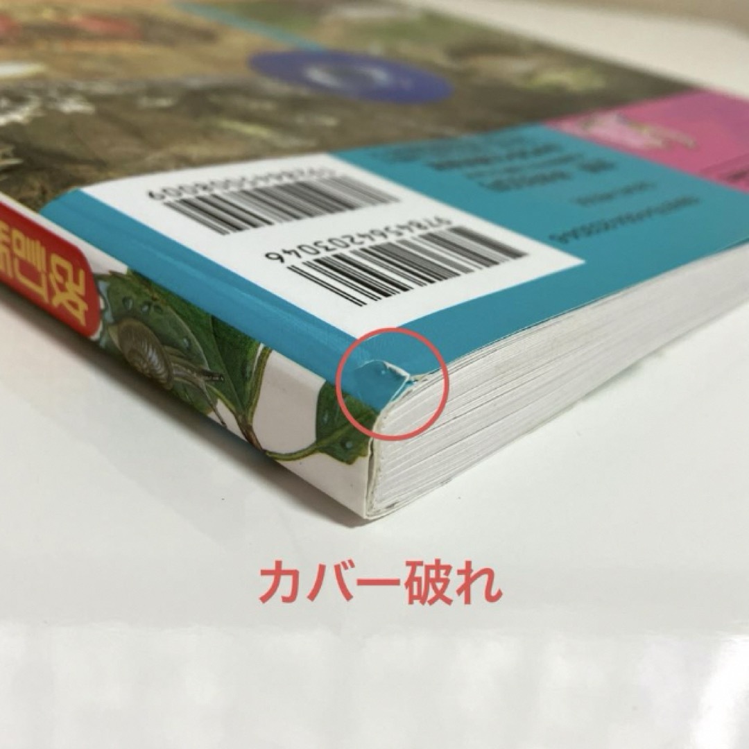 ちいさないきもの くらしとかいかた エンタメ/ホビーの本(絵本/児童書)の商品写真