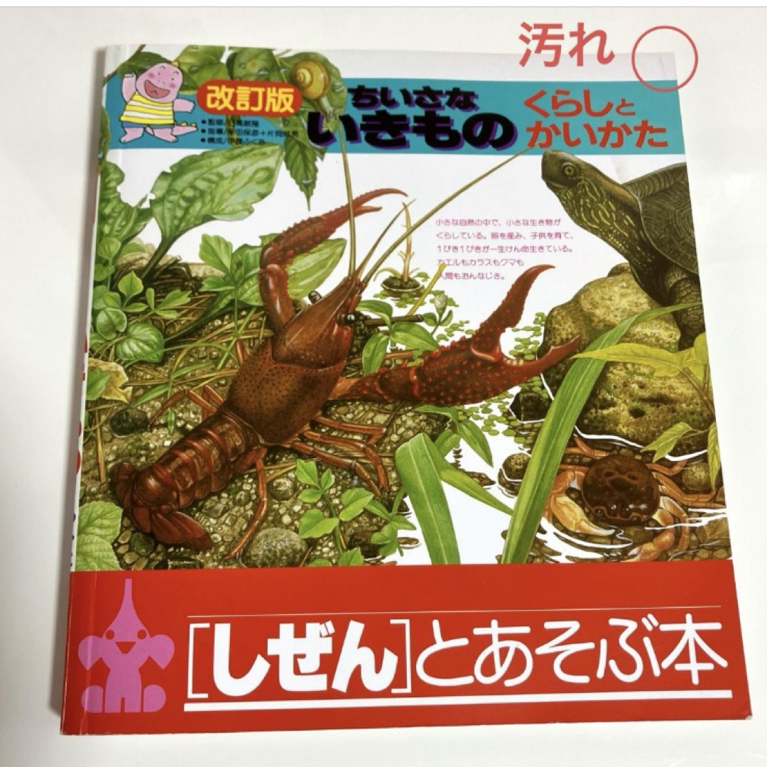 ちいさないきもの くらしとかいかた エンタメ/ホビーの本(絵本/児童書)の商品写真