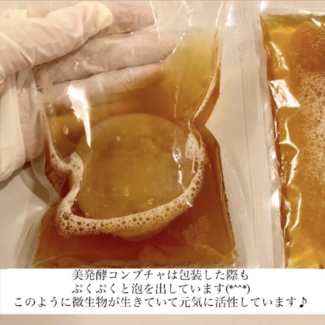 コンブチャ　マザー菌株　1L作成用　コンブチャ　スコビー株分け コスメ/美容のダイエット(ダイエット食品)の商品写真