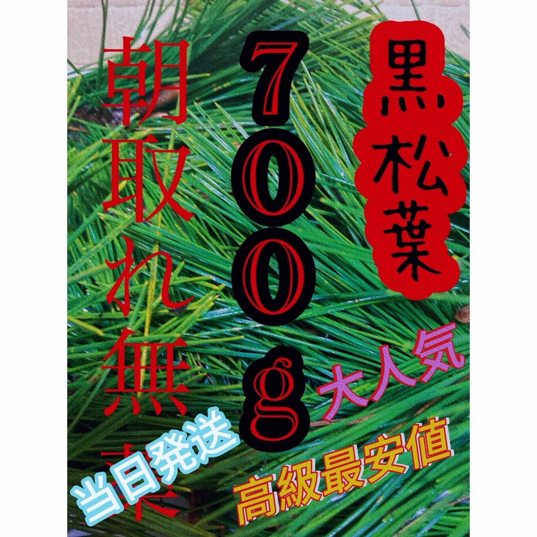 即購入可　即日発送　岡山県　黒松　枝付き松葉　生葉　無農薬　松の葉 食品/飲料/酒の食品(野菜)の商品写真