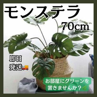 フェイクグリーン モンステラ 70cm 1本 造花 観葉植物 インテリア 多肉(インテリア雑貨)