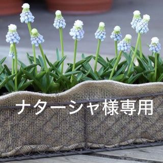 ✨ナターシャ様専用✨(調味料)