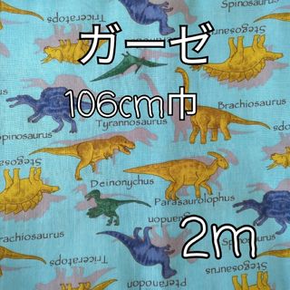 リアル恐竜 ダブルガーゼ 生地 2m(サックスブルー)(生地/糸)