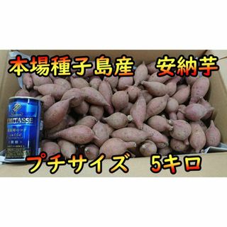 【本場】安納芋 紅プチサイズ　5キロ【種子島産】(野菜)