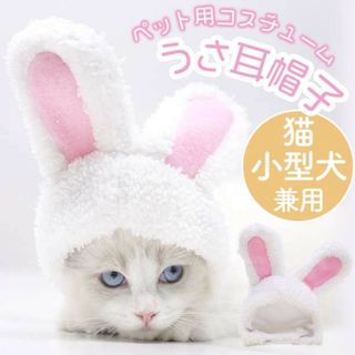 1個 うさ耳 帽子 ペット 犬 猫 2023 うさぎ 干支 年賀状 コスプレ(猫)