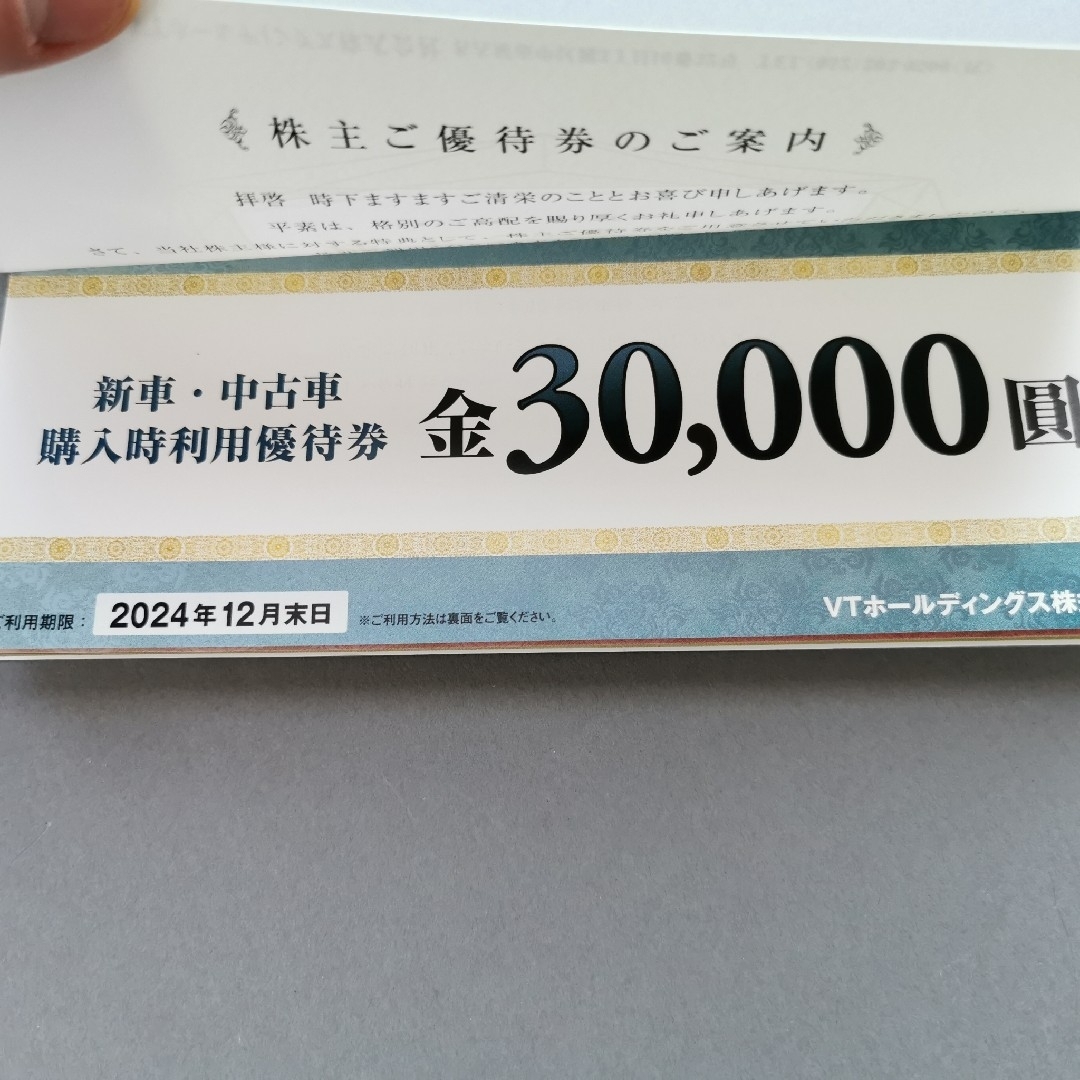 VTホールディングス 株主優待券 1セット チケットの優待券/割引券(その他)の商品写真