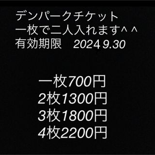 デンパーク　チケット　愛知県　安城市　無料券　割引券(遊園地/テーマパーク)