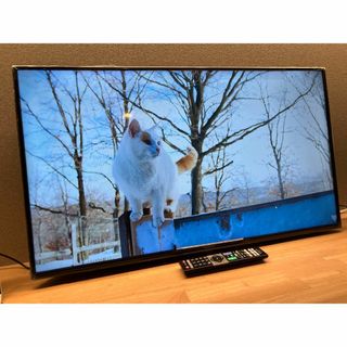 マクスゼン(MAXZEN)のMAXZEN　マクスゼン　40型　テレビ　J40CHS06 映り綺麗超美品！(テレビ)