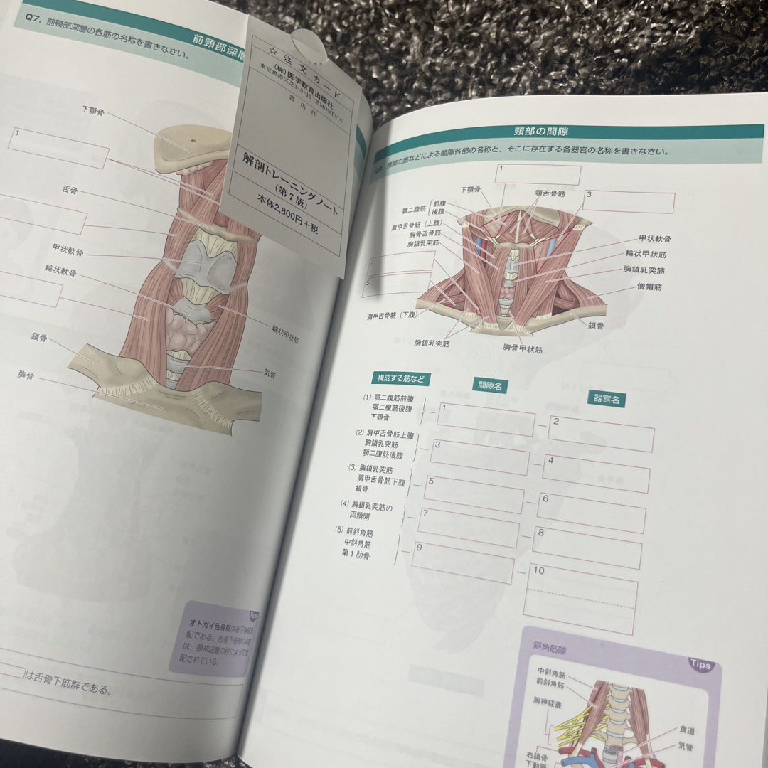 解剖トレーニングノート エンタメ/ホビーの本(健康/医学)の商品写真