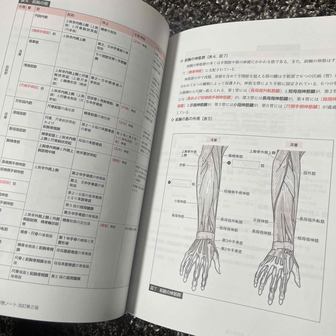 消っして忘れない解剖学要点整理ノ－ト エンタメ/ホビーの本(健康/医学)の商品写真