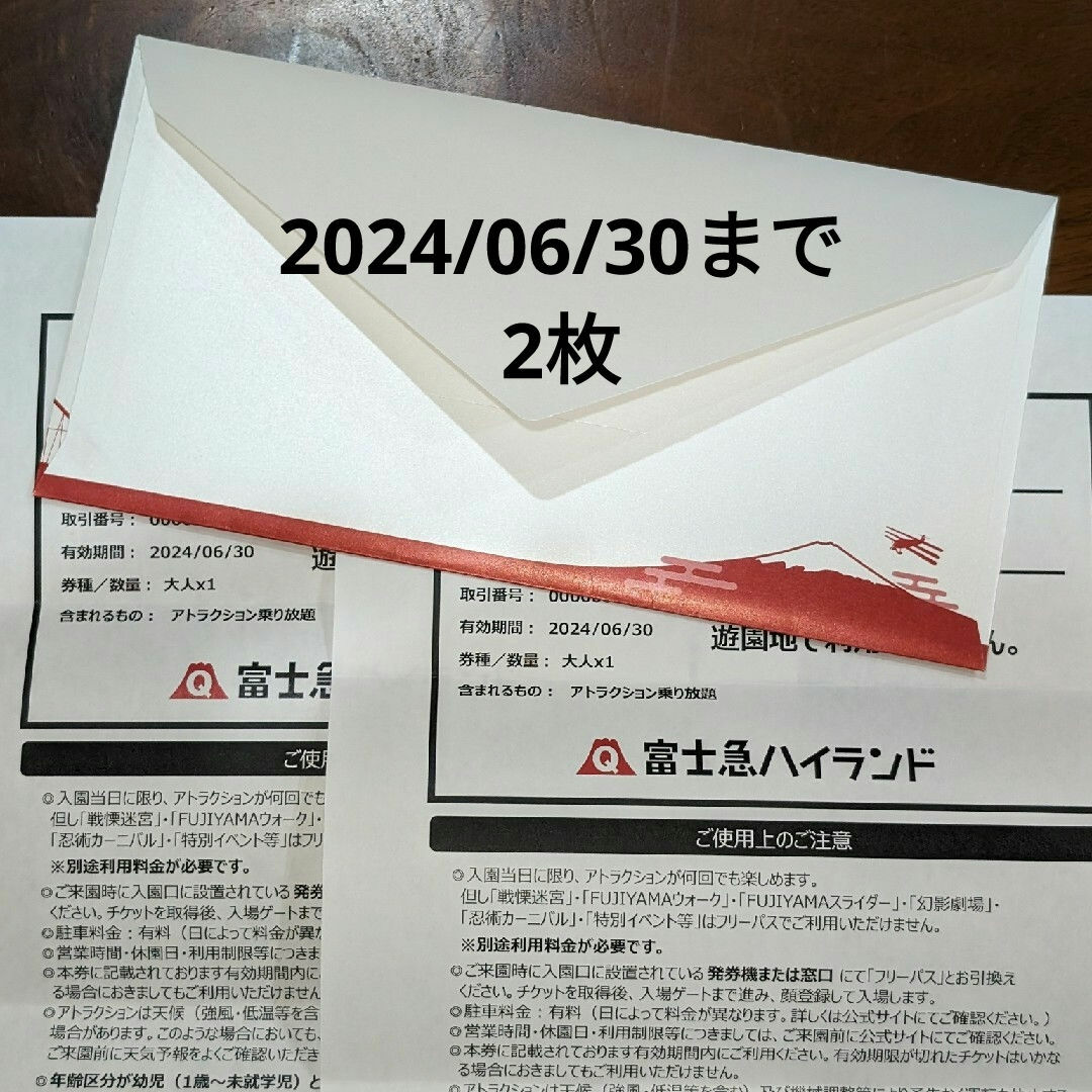 富士急ハイランド フリーパス引換大人2名 チケットの施設利用券(遊園地/テーマパーク)の商品写真