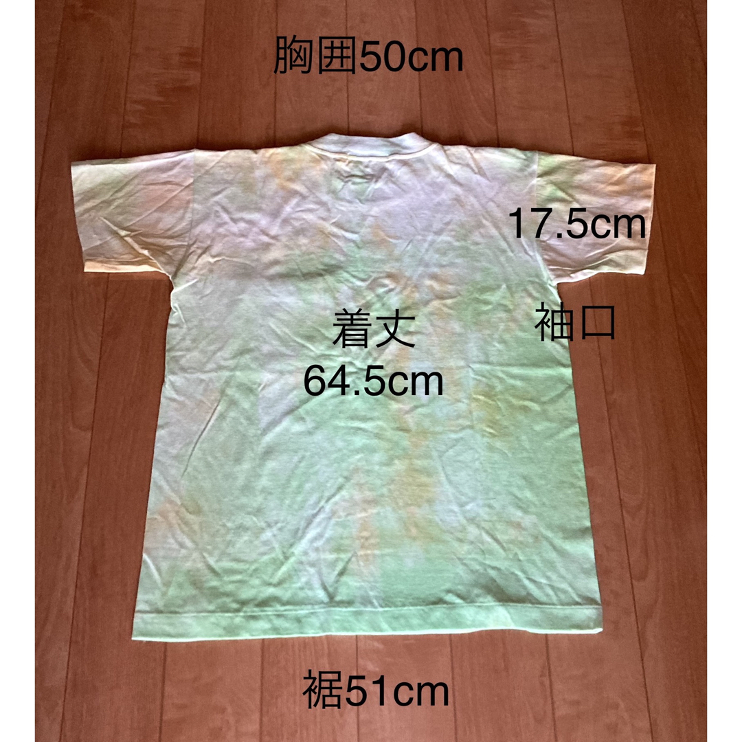 イッセイミヤケ　イッセイスポーツTシャツ レディースのトップス(Tシャツ(半袖/袖なし))の商品写真