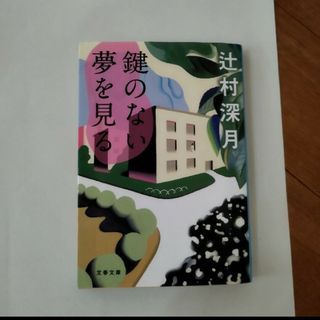 鍵のない夢を見る(文学/小説)