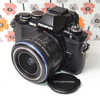 オリンパス(OLYMPUS)の❤️Wi-Fi❤️オリンパス OM-D E-M10 ミラーレスカメラ(ミラーレス一眼)