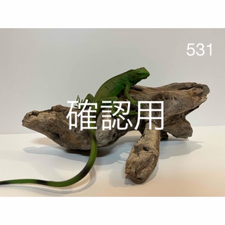 流木【531】(爬虫類/両生類用品)
