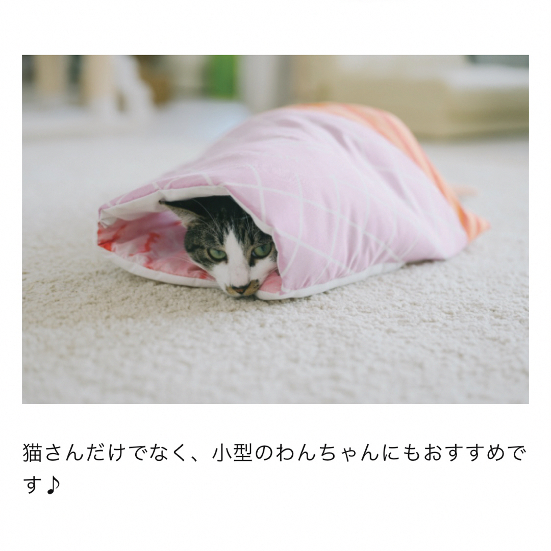 FELISSIMO(フェリシモ)の【新品】フェリシモ　猫部 猫用スイーツ布団　スムージー　ペット用品　小型犬にも その他のペット用品(猫)の商品写真