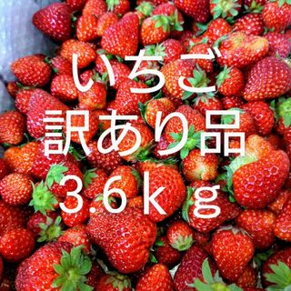 いちご　加工用　訳あり品　3.6ｋｇ(フルーツ)