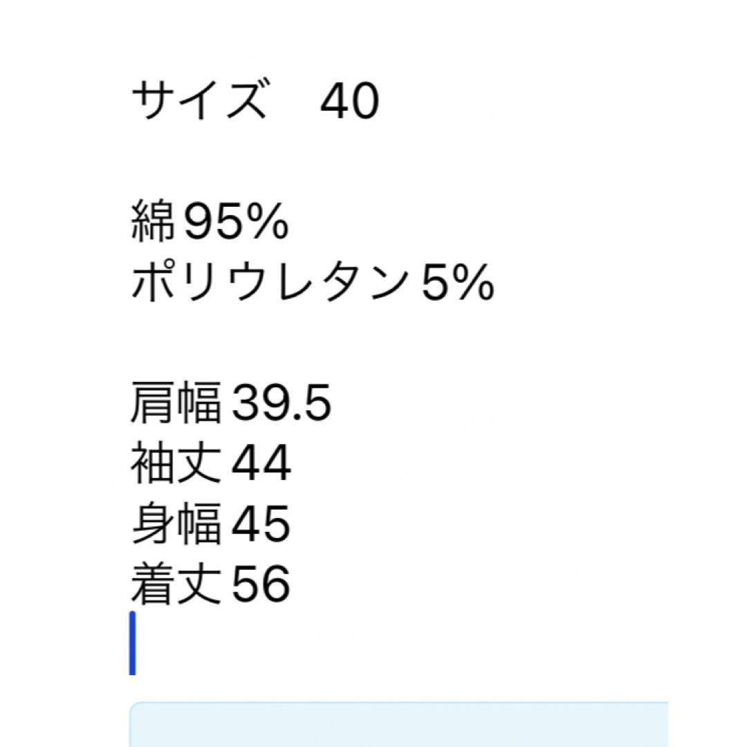 23区(ニジュウサンク)の最終値下げ　23区　　ブラウス　40 レディースのトップス(シャツ/ブラウス(長袖/七分))の商品写真