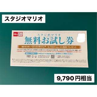 スタジオマリオ 割引券 クーポン  無料お試し券 写真撮影券(その他)