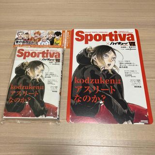 ハイキュー!! ショーセツバン!! 7巻 Sportiva 孤爪研磨(文学/小説)