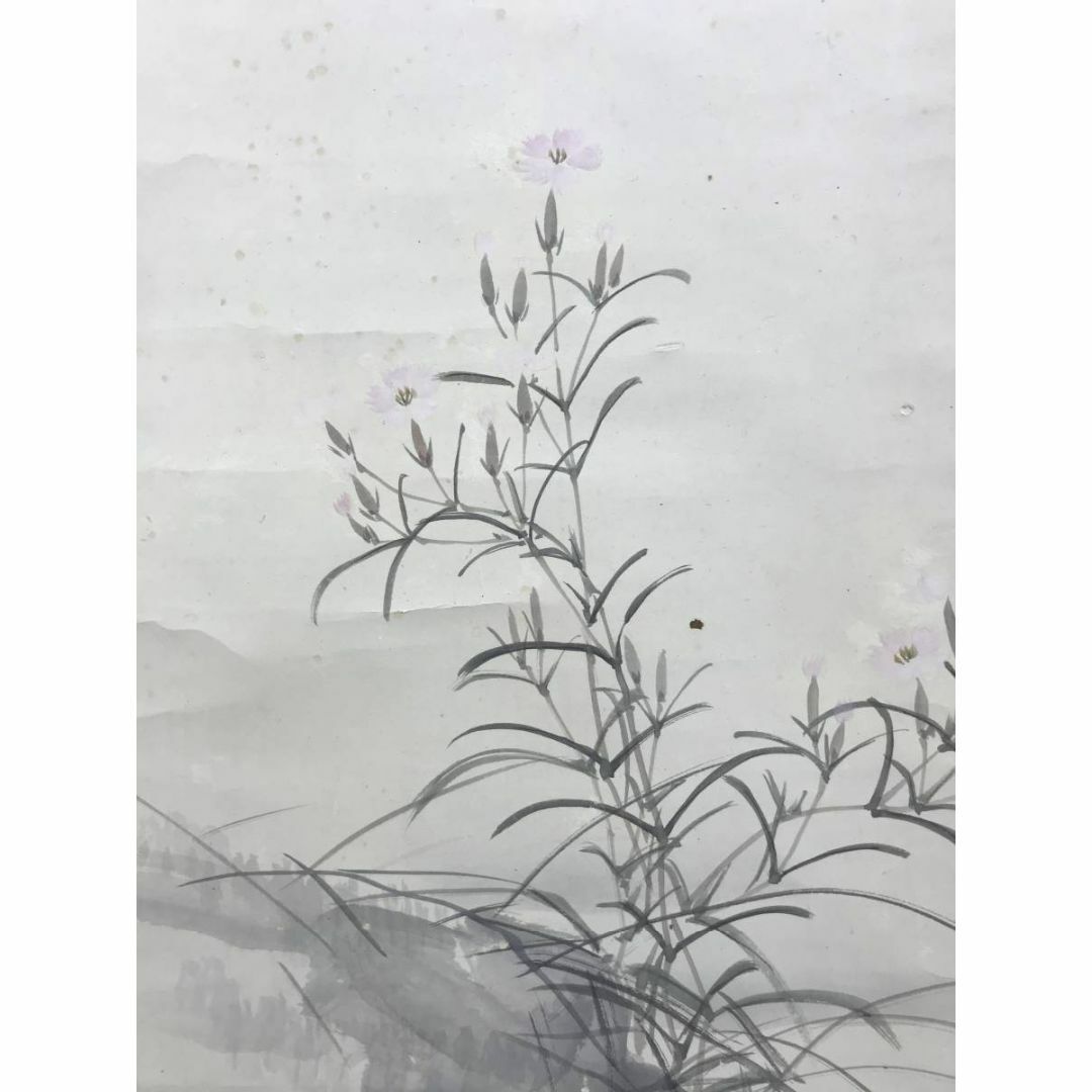 真作/石川有隣/撫子トンボ図/花鳥図/蜻蛉図/掛軸☆宝船☆AE-373 真作/石川有隣/撫子トンボ図/花鳥図/蜻蛉図/掛軸☆宝船☆AE-373
