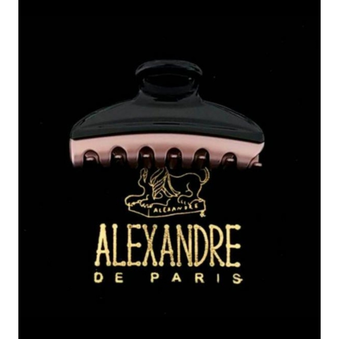 Alexandre de Paris(アレクサンドルドゥパリ)の新品☆アレクサンドル ドゥ パリ VENDOME CLIP レディースのヘアアクセサリー(バレッタ/ヘアクリップ)の商品写真